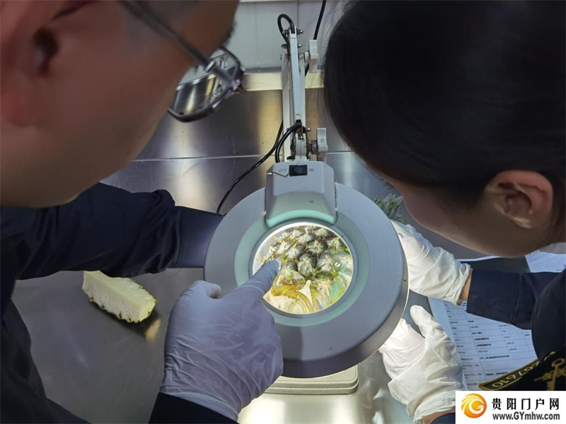 第六届进博会|溢出效应扩大 发展动能澎湃——从六届进博会看中国开放的世界机遇(图3) 第六届进博会|溢出效应扩大 发展动能澎湃——从六届进博会看中国开放的世界机遇(图3)