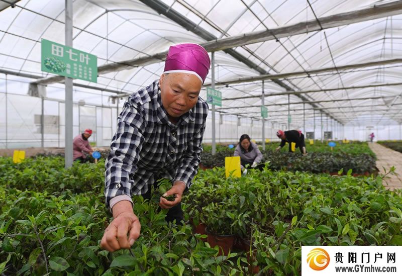 徐麟在黔东南州调研(图5)