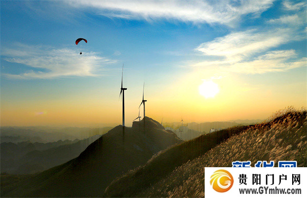 陈德国代表：普定打造“风光水火储”一体新型综合能源基地(图4)