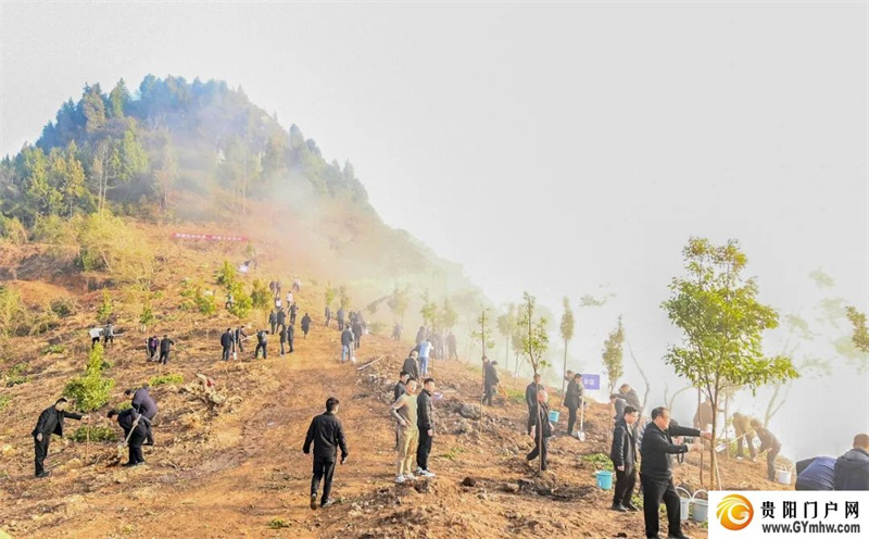 铜仁市2024年义务植树活动举行(图2)