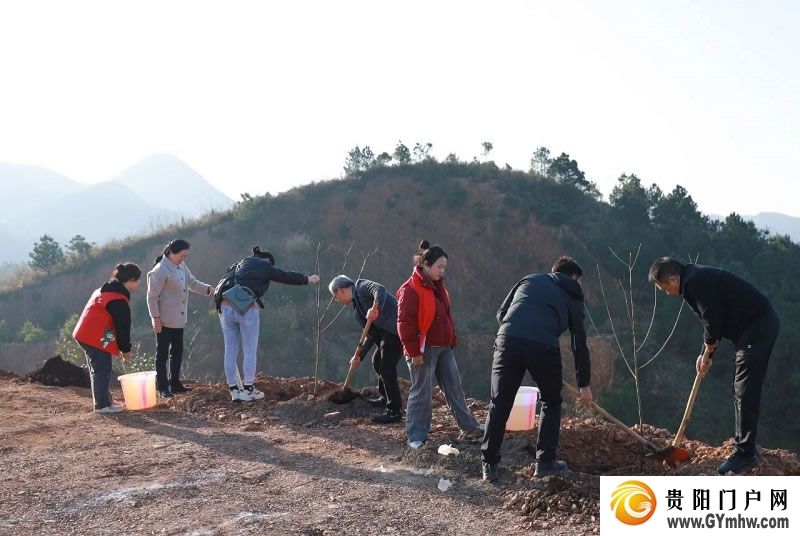 “植”此青绿 不负青山 贵州各地开展义务植树活动(图8)