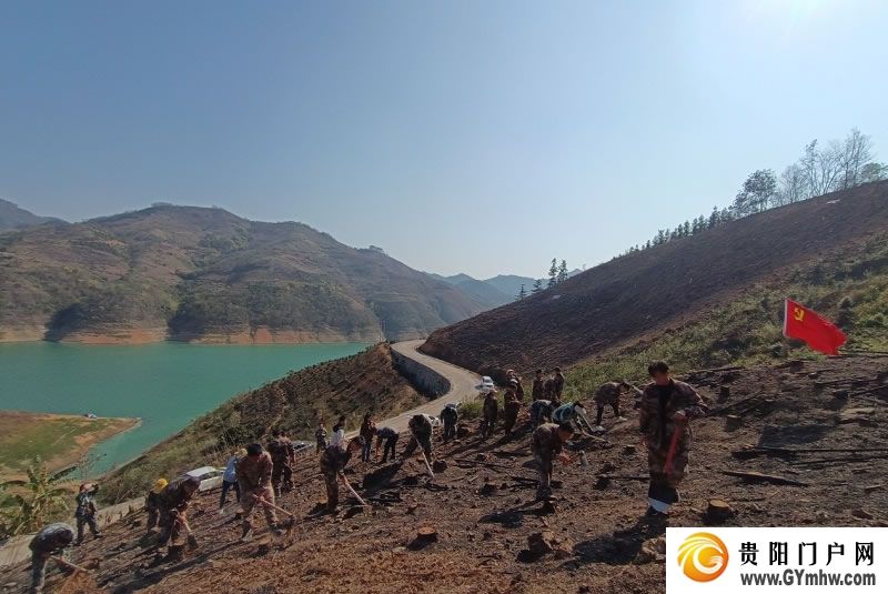 “植”此青绿 不负青山 贵州各地开展义务植树活动(图9)