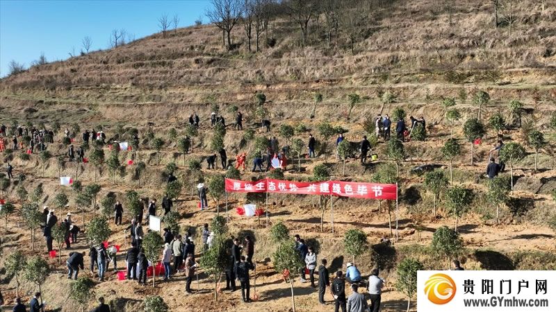 “植”此青绿 不负青山 贵州各地开展义务植树活动(图5)