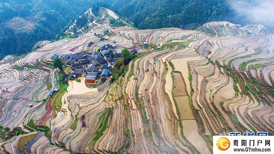 贵州从江：雾漫梯田(图1)