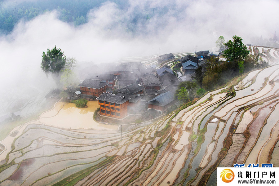 贵州从江：雾漫梯田(图2)