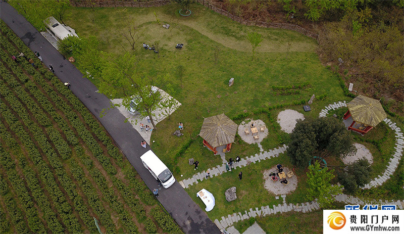 贵阳：美景茶香引客来