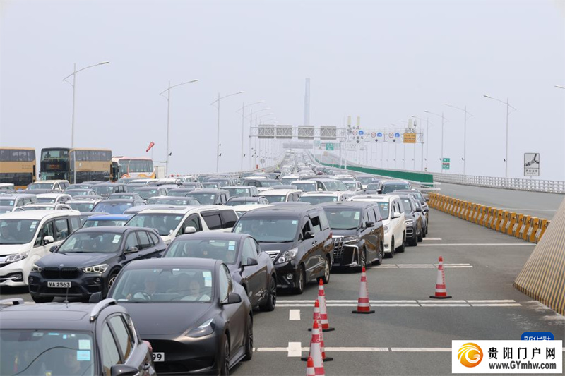 港珠澳大桥7天3次刷新车流量纪录(图1)