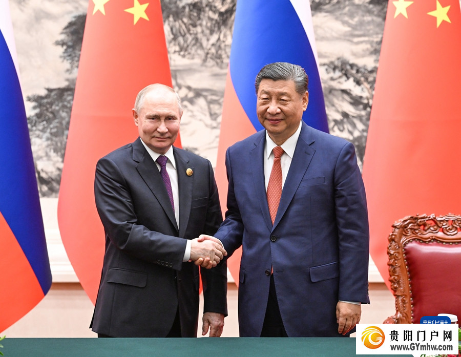 习近平同俄罗斯总统普京会谈(图12)