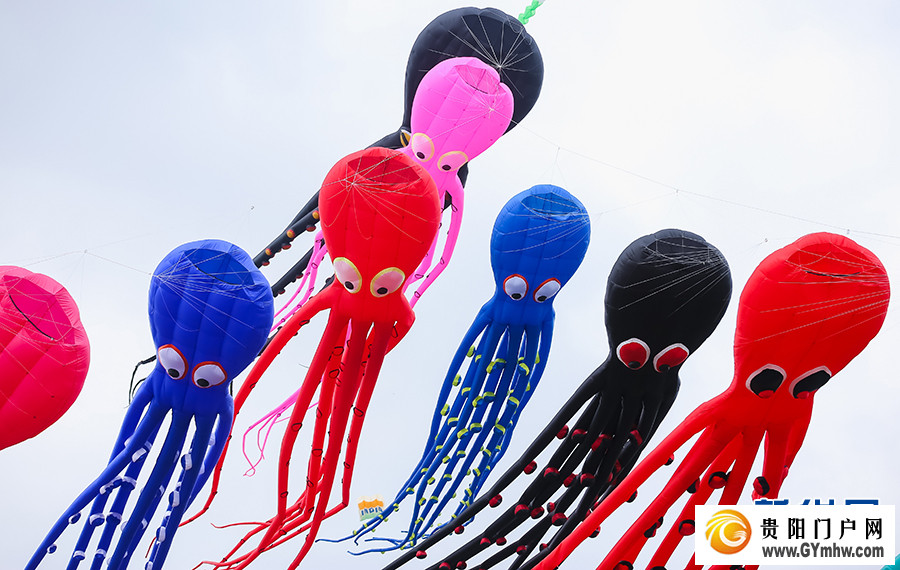 2024年贵阳白云国际风筝会暨全国风筝邀请赛举行(图10)
