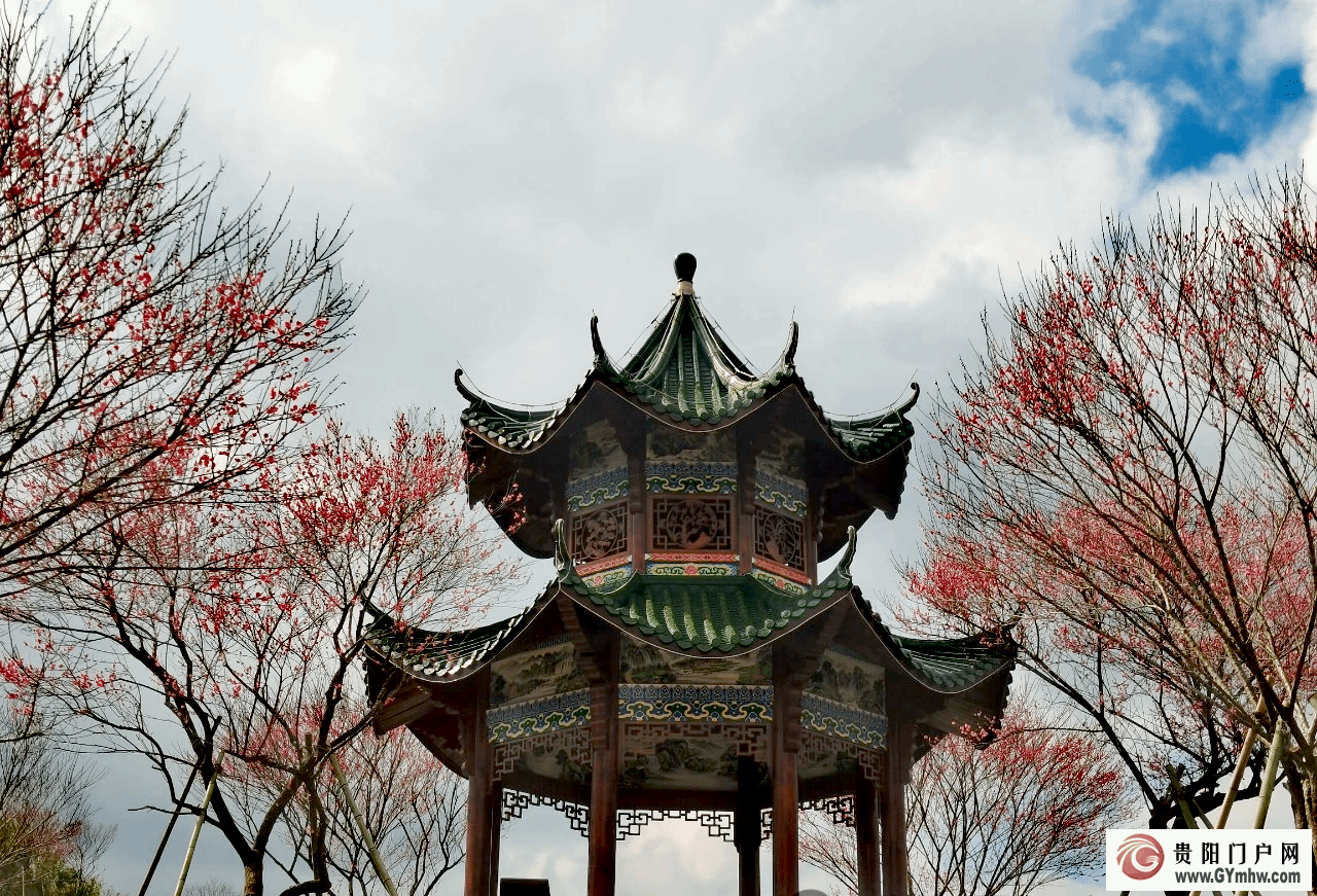 本周六开园！贵州梅园游玩攻略(图4)