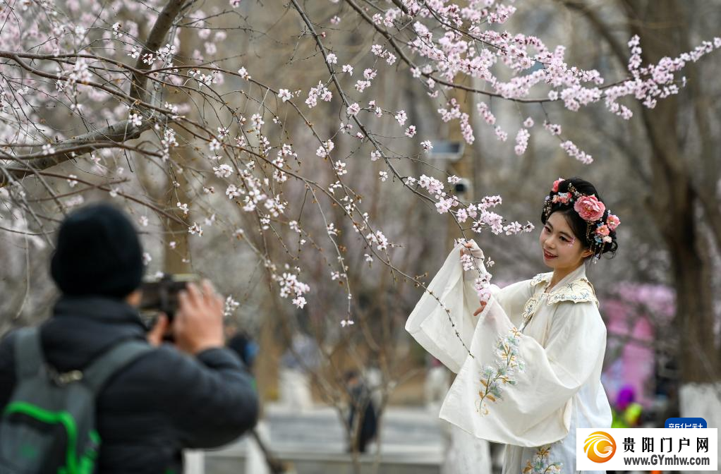 从“剧效应”到“花经济” 春日文旅消费市场活力满满(图6)