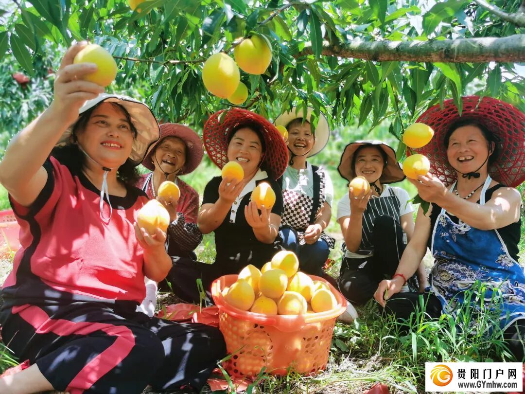 山河为卷，答一场高质量发展的时代之问——平坝区“十四五”时期高质量发展综述(图4)