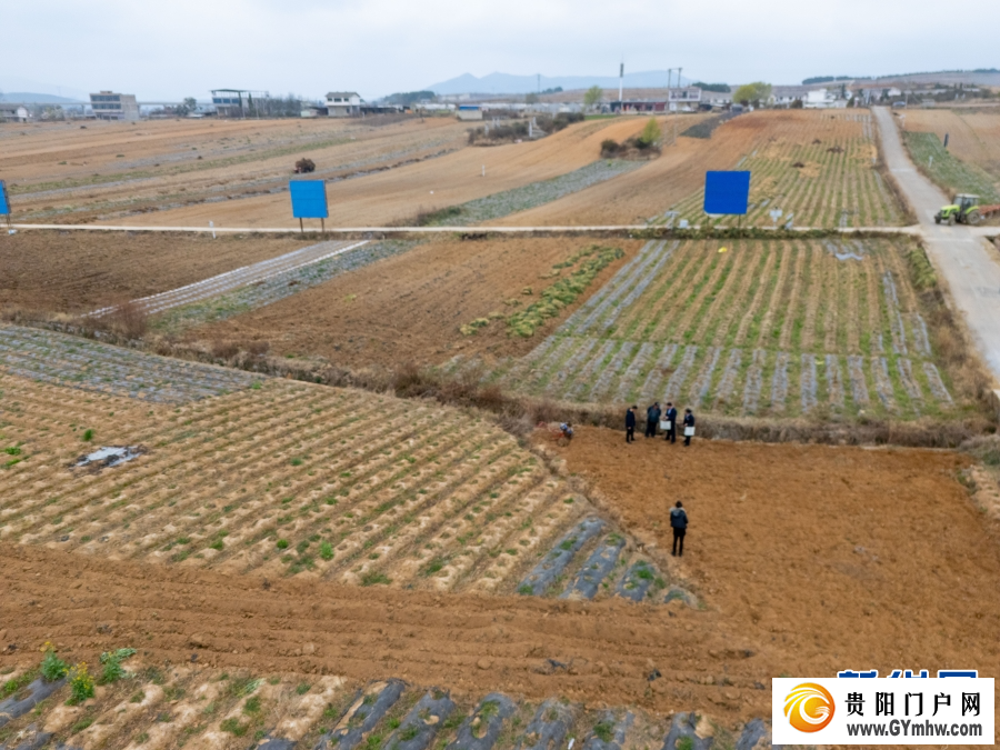 金融“及时雨” 邮储助春耕(图2) 金融“及时雨” 邮储助春耕(图2)
