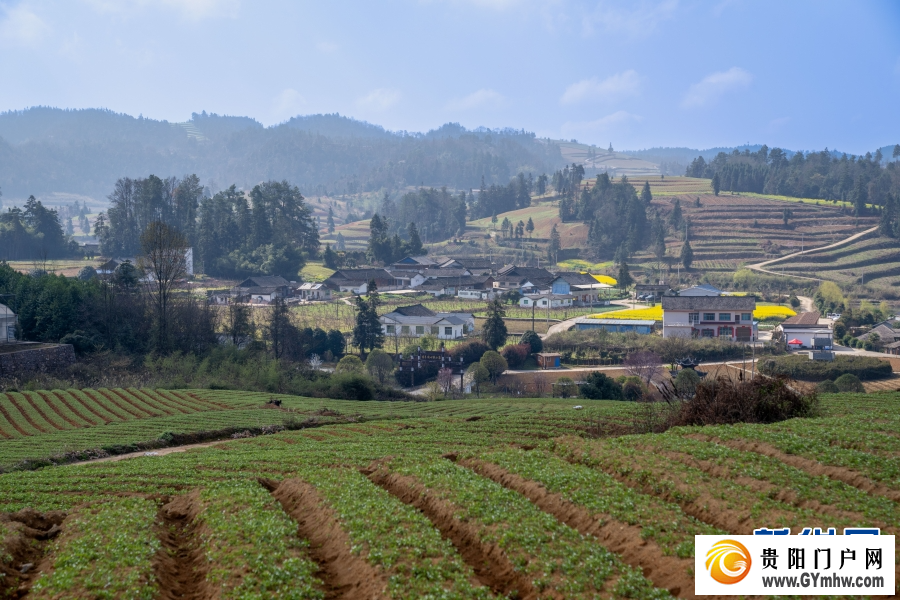 金融“及时雨” 邮储助春耕(图3) 金融“及时雨” 邮储助春耕(图3)