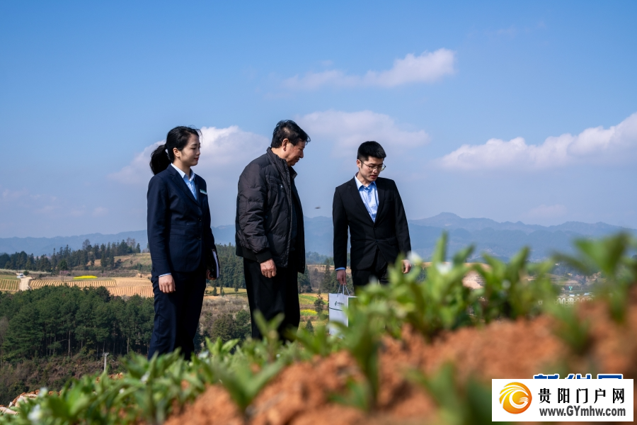 金融“及时雨” 邮储助春耕(图4) 金融“及时雨” 邮储助春耕(图4)