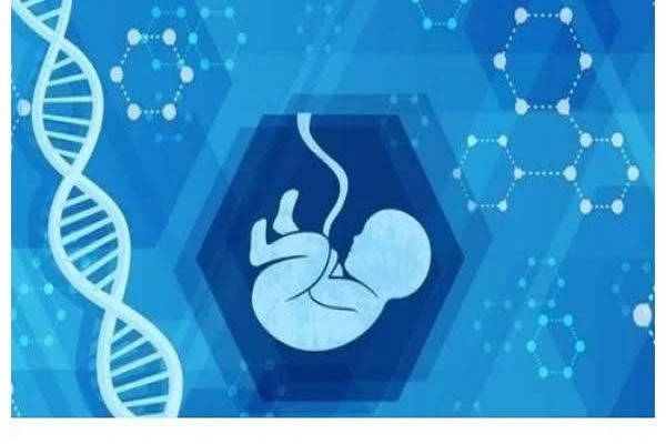 试管鲜胚移植hcg数值越来越低怎么办？为什么hcg数值会越来越低(图2)