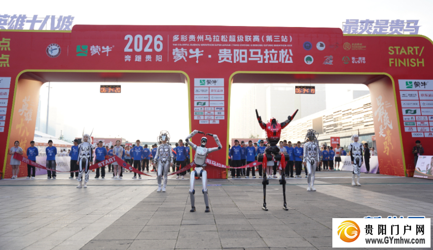 原来你是这样的“贵马”(图4)