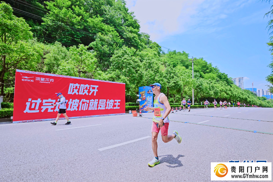 原来你是这样的“贵马”(图12)