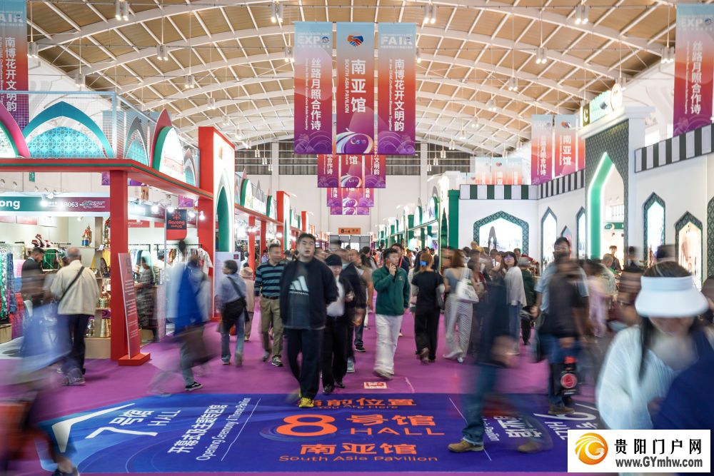 南博架通途，中国与南亚共绘互利共赢新图景(图2)