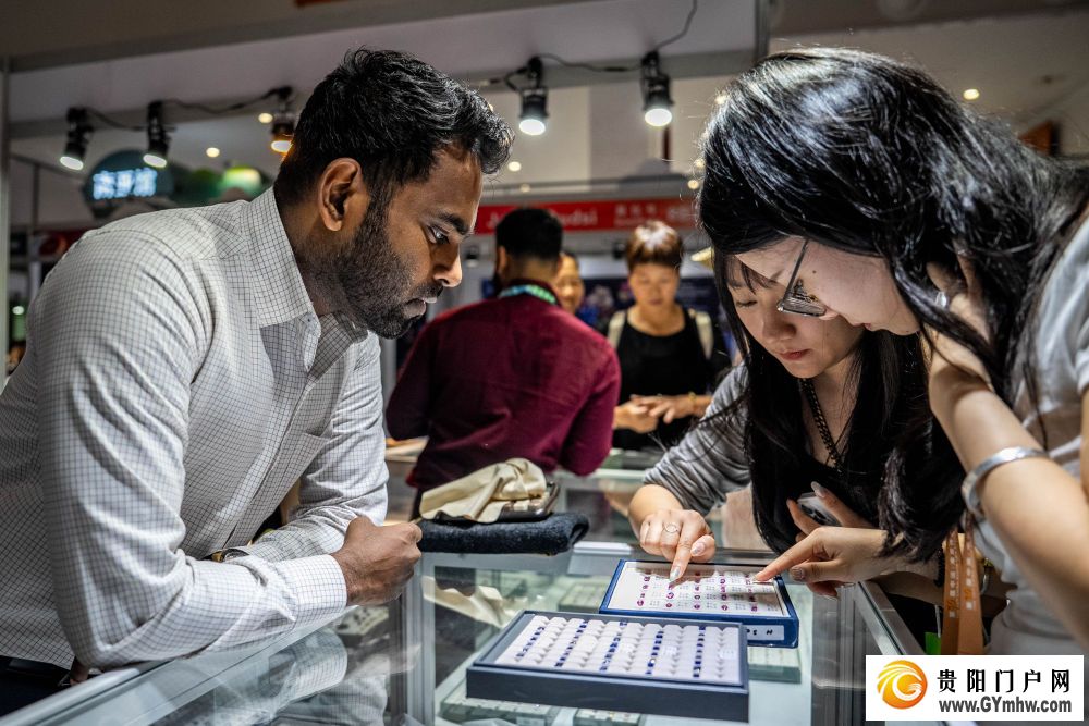 南博架通途，中国与南亚共绘互利共赢新图景(图4)